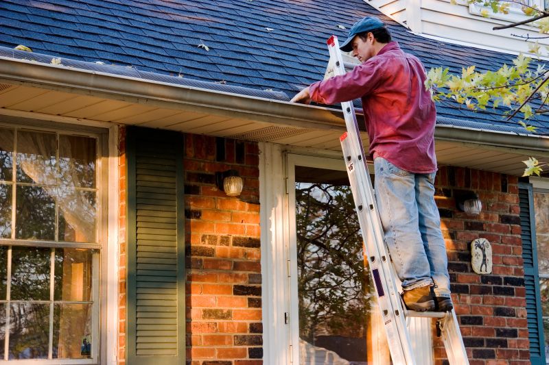 Local Gutter Service Experts