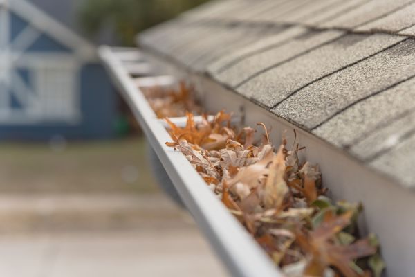 Leaf Barrier Installation in Camden